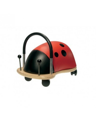Coccinelle small
