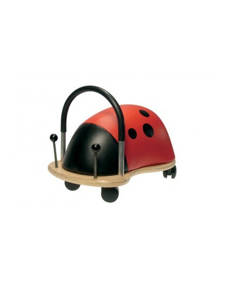 Coccinelle small