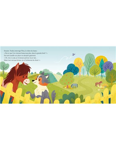 LA GRANDE AVENTURE DE TOUFOU - Auzou