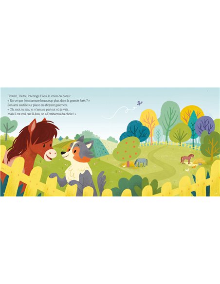 LA GRANDE AVENTURE DE TOUFOU - Auzou