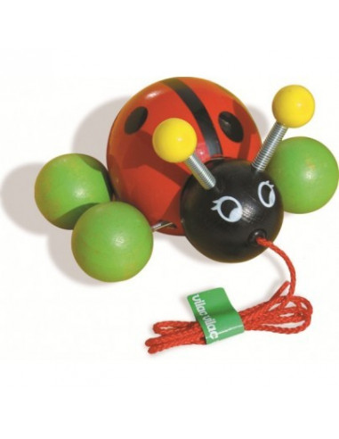 Baby Ladybug