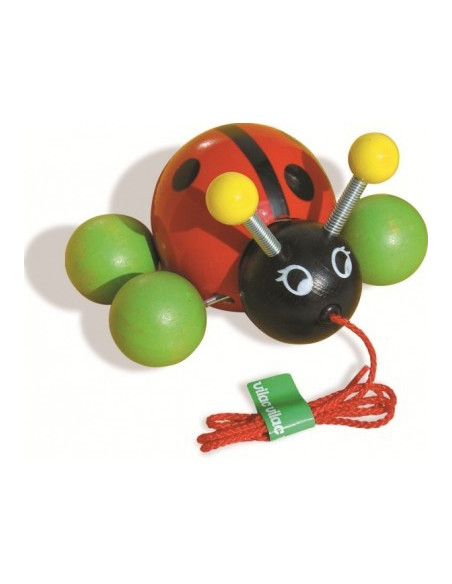Baby Ladybug