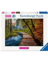 Puzzle Adultes 1000 pièces - Chemin boisé d'automne