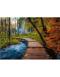 Puzzle Adultes 1000 pièces - Chemin boisé d'automne 2