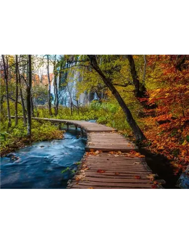 Puzzle Adultes 1000 pièces - Chemin boisé d'automne