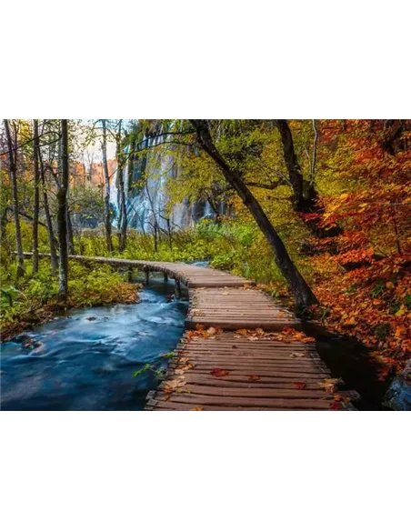 Puzzle Adultes 1000 pièces - Chemin boisé d'automne