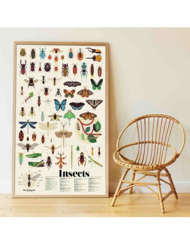 Poster en stickers : insectes
