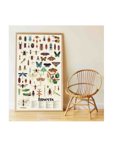 Poster en stickers : insectes