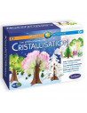 LES PHENOMENES DE LA CRISTALLISATION