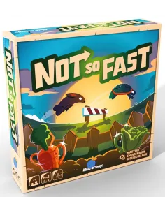 NOT SO FAST