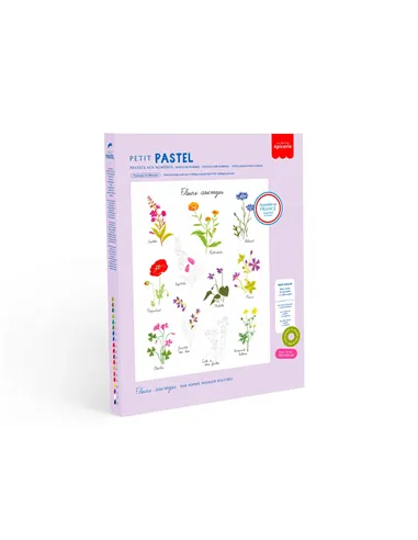 Coffret pastel au numéro - Petit Pastel - Fleurs sauvages - la petite épicerie