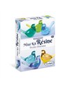Mini Kit Résine Recharge Petits Oiseaux - sentosphère