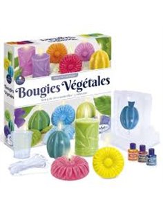 Diy bougies vegetales