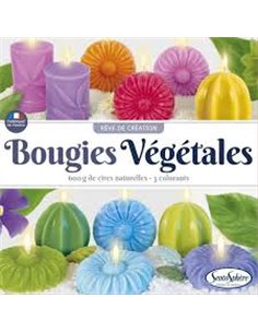 Diy bougies vegetales 2