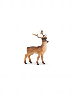 Cerf PAPO - Roi de la Forêt