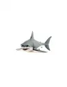 Requin blanc