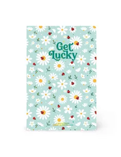 Cahier Ligné A5 à Couverture Rigide Illustrée - Ladybug daisy - Legami