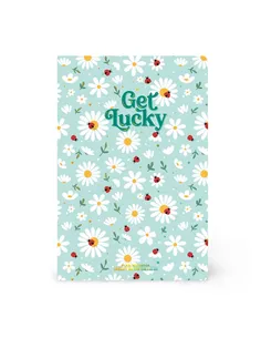 Cahier Page Blanche A5 à Couverture Rigide Illustrée - Ladybug daisy - Legami