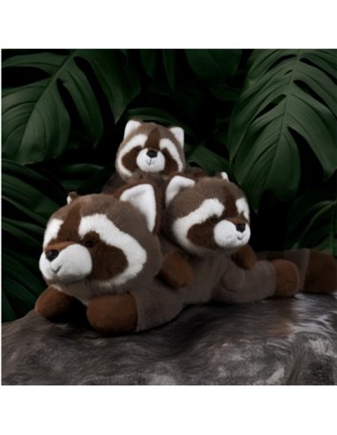 VASCO RATON LAVEUR 55 cm - Histoire d'ours