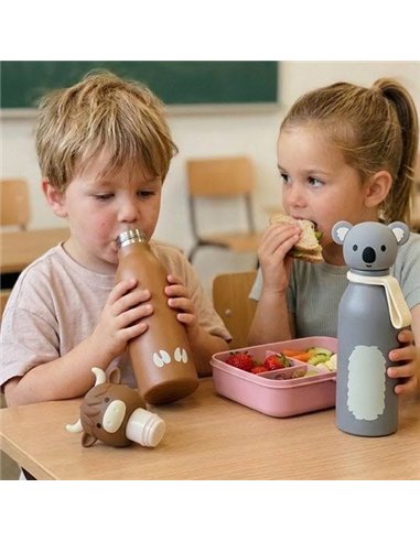 Gourde isotherme inox 400ml - Koala