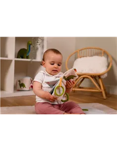 Coffret d'éveil - Les Amis Dinos - little big friends 2