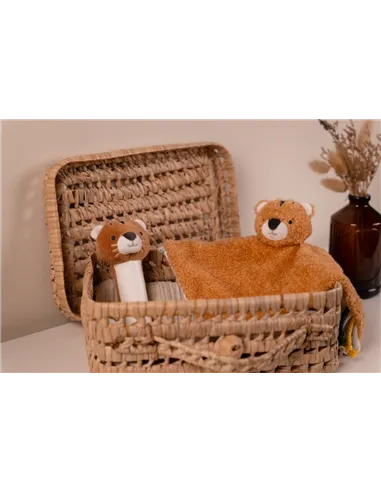 Coffret d'éveil - Jungle - little big friends
