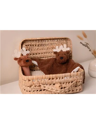 Coffret d'éveil - Forêt - little big friends