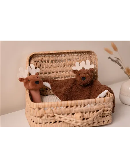 Coffret d'éveil - Forêt - little big friends