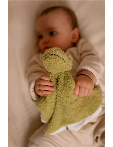 Doudou - Rex le Tyrannosaure - little big friends