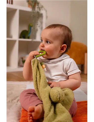Doudou - Rex le Tyrannosaure - little big friends