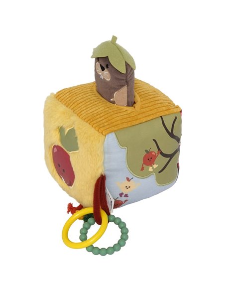 Cube d'éveil - Potager - little big friends
