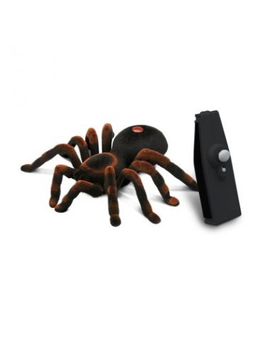 Mygale radiocommande Buki