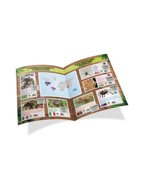 Mygale radiocommande Buki