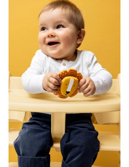 Jouet spinner en silicone Mr. Lion