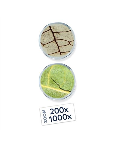 Microscope vidéo expert - Buki
