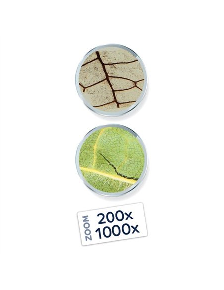Microscope vidéo expert - Buki