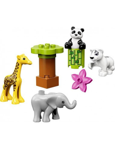 Les bebes animaux duplo