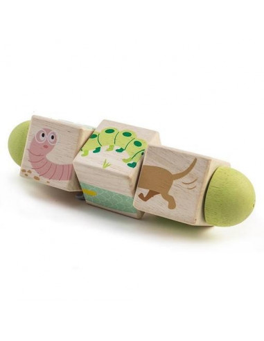 Torsion de cubes animaux