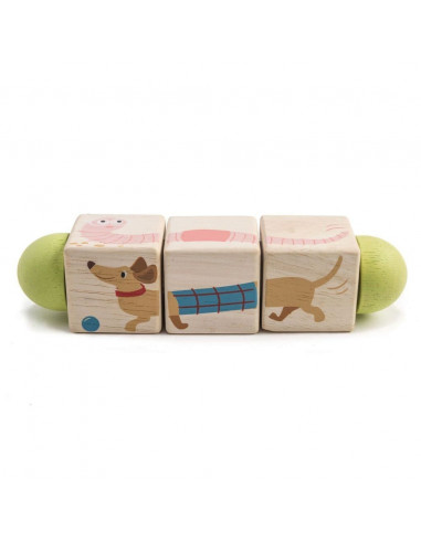Torsion de cubes animaux