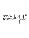 MR WONDERFUL