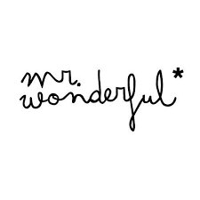 MR WONDERFUL